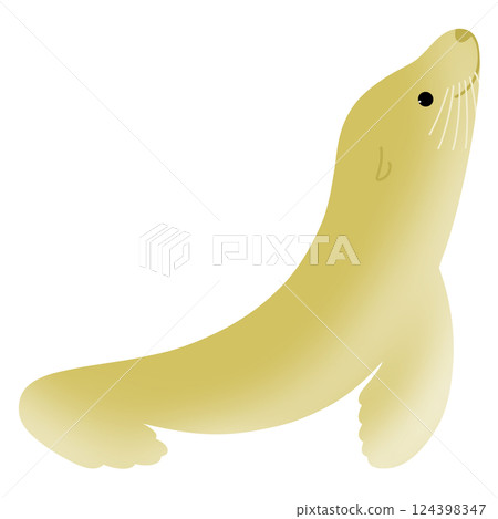 Cute sea lion 124398347