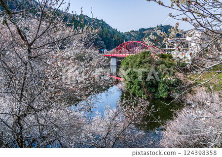 月瀨梅溪 清晨的梅花盛開 奈良縣 月瀨梅溪 清晨的梅花盛開 奈良縣 124398358