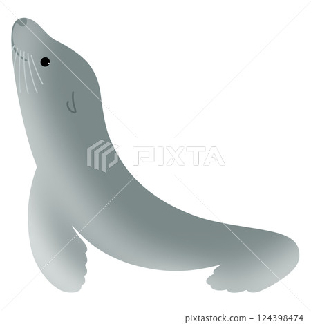 可愛的海獅 124398474