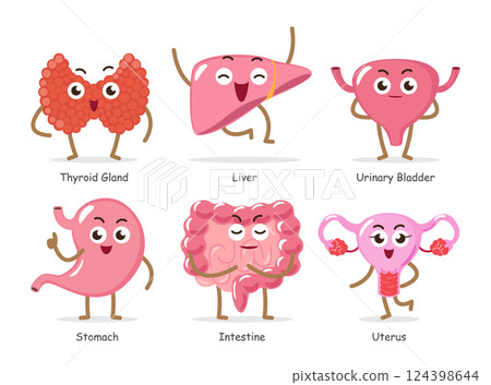 Human internal organs . Set of funny medical cartoon characters . Include thyroid gland, liver, urinary bladder, stomach, intestine, uterus . Isolated white background . Vector . Human internal organs . Set of funny medical cartoon characters . Include thyroid gland, liver, urinary bladder, stomach, intestine, uterus . Isolated white background . Vector . 124398644