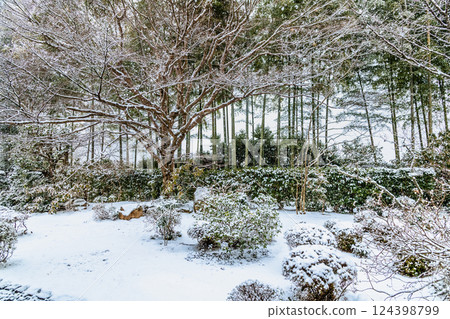 京都大原盤願園寶泉院白雪皚皚 京都大原盤願園寶泉院白雪皚皚 124398799