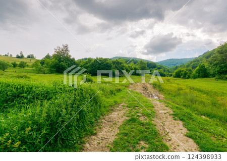 dirt road through forested countryside. lush woodland. beautiful summer rural landscape in mountains. adventure in nature scenery before the storm. dramatic weather dirt road through forested countryside. lush woodland. beautiful summer rural landscape in mountains. adventure in nature scenery before the storm. dramatic weather 124398933