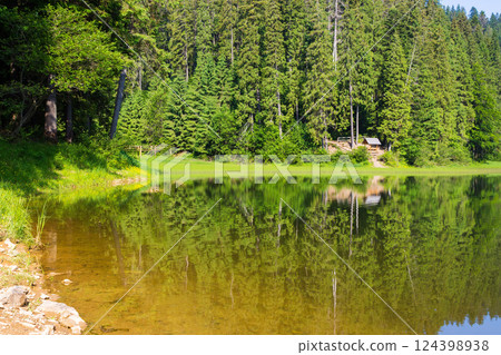 lake among spruce forest. green trees reflecting on the calm water surface. wonderful summer scenery on a bright sunny day. national park synevyr in ukraine lake among spruce forest. green trees reflecting on the calm water surface. wonderful summer scenery on a bright sunny day. national park synevyr in ukraine 124398938