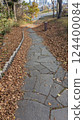 鋪滿秋葉的鵝卵石小路 124400084