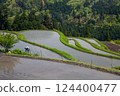 People planting rice on terraced fields 124400477