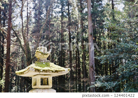 神社境內的燈籠 124401422