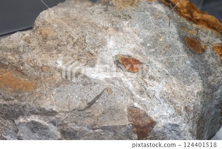 Gold ore 124401518