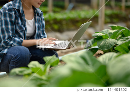 Female farmer using laptop among leafy crops in a greenhouse. Smart farming and agricultural research concept Female farmer using laptop among leafy crops in a greenhouse. Smart farming and agricultural research concept 124401802