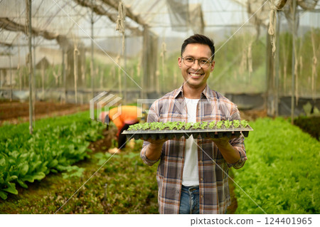 Smiling man holding a tray of vegetable seedlings inside a greenhouse. Sustainable agriculture concept 124401965