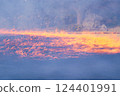 Okayama Korakuen Grass Burning 124401991