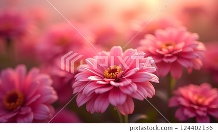 Soft Pink Daisies in Dreamy Sunlight Garden 124402136