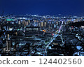 Matsuyama city night view 124402560