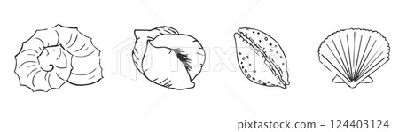 Sea shell sketch ocean life hand drawn illustration. Outline modern style, summer, vacation, beach design elements. Coral and seaweed, starfish line.  124403124