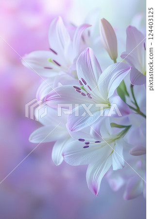 Fantastic bouquet of white lilies Fantastic bouquet of white lilies 124403125