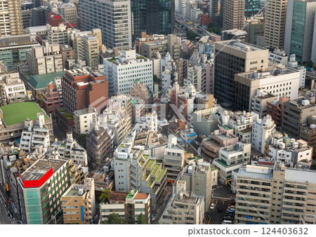 Panoramic view of Tokyo Japan. Panoramic view of Tokyo Japan. 124403632