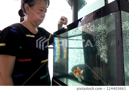 Cute Oranda Goldfish Cute Oranda Goldfish 124403661