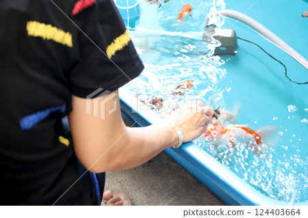 Group of Goldfish Group of Goldfish 124403664
