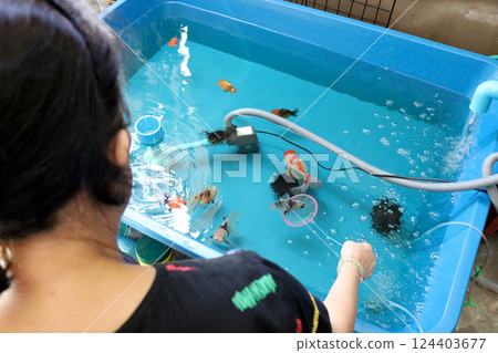 Group of Goldfish Group of Goldfish 124403677