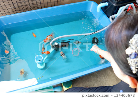 Group of Goldfish Group of Goldfish 124403678