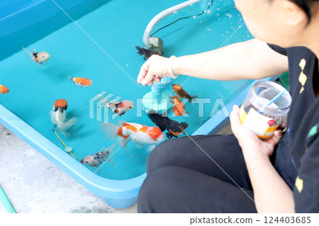 Group of Goldfish 124403685