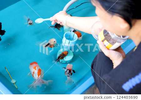 Group of Goldfish Group of Goldfish 124403690