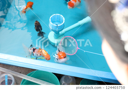Group of Goldfish 124403750