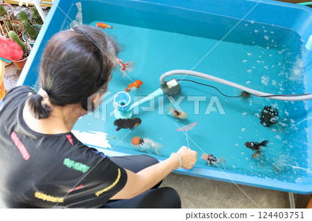 Group of Goldfish 124403751