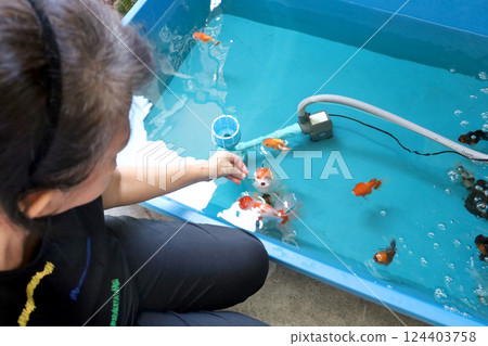 Group of Goldfish Group of Goldfish 124403758