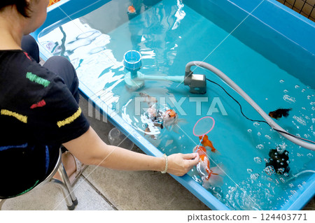 Group of Goldfish 124403771