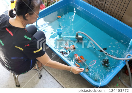 Group of Goldfish Group of Goldfish 124403772