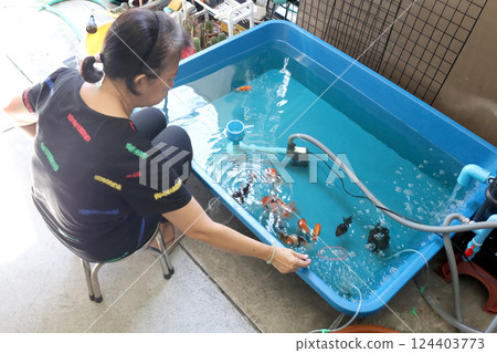 Group of Goldfish 124403773