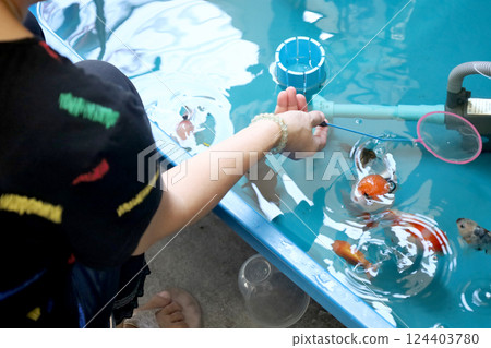 Group of Goldfish 124403780