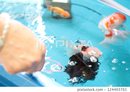 Group of Goldfish Group of Goldfish 124403781