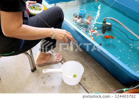 Group of Goldfish Group of Goldfish 124403782