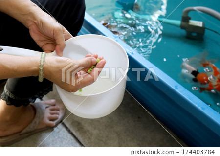 Group of Goldfish 124403784