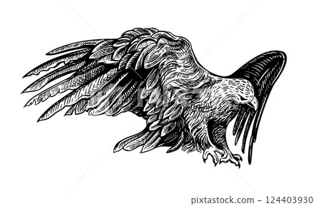 Eagel hand drawn sketch 4 124403930