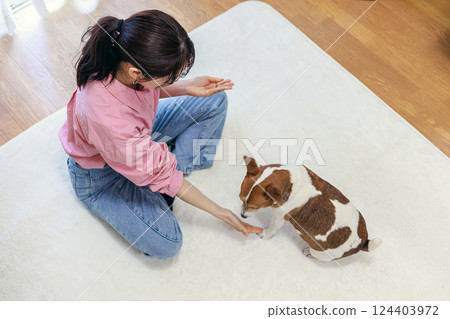 狗和小姐 狗和小姐 124403972