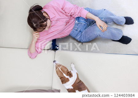 狗和小姐 124403984