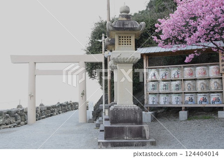 二見興魂神社和橫濱櫻花 124404014