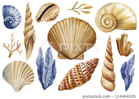 Watercolor seashells, ocean elements set with seaweed, coral and spiral shells in natural beige and blue colors Clipart 124404026