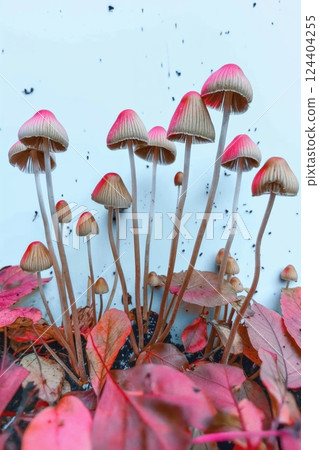 Funky Mushroom Scene with Pink Hues for Psychedelic 70s, Y2K Vibes 124404255