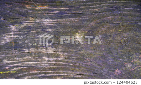 Wood Textured Background Wood Textured Background 124404625
