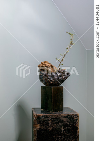 Minimalist WabiSabi Plant Sculpture Minimalist WabiSabi Plant Sculpture 124404681