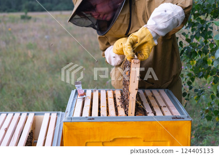 A beekeeper, a woman in a protective suit against bee stings, holds a frame with honey from a bee hive in her hands. Beekeeping, care of the hive A beekeeper, a woman in a protective suit against bee stings, holds a frame with honey from a bee hive in her hands. Beekeeping, care of the hive 124405133