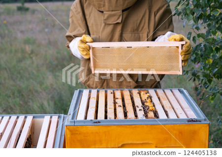 A beekeeper, a woman in a protective suit against bee stings, holds a frame with honey from a bee hive in her hands. Beekeeping, care of the hive A beekeeper, a woman in a protective suit against bee stings, holds a frame with honey from a bee hive in her hands. Beekeeping, care of the hive 124405138