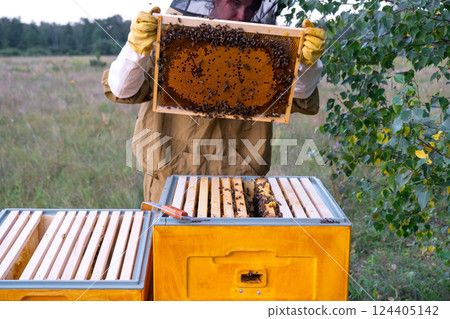 A beekeeper, a woman in a protective suit against bee stings, holds a frame with honey from a bee hive in her hands. Beekeeping, care of the hive A beekeeper, a woman in a protective suit against bee stings, holds a frame with honey from a bee hive in her hands. Beekeeping, care of the hive 124405142