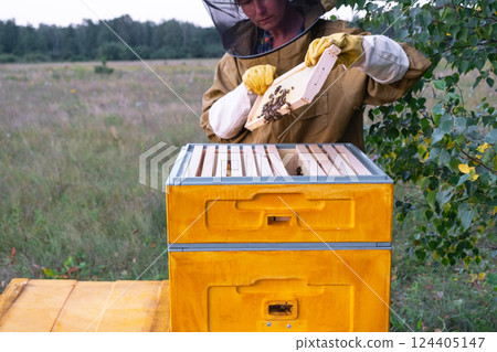 A beekeeper, a woman in a protective suit against bee stings, holds a frame with honey from a bee hive in her hands. Beekeeping, care of the hive A beekeeper, a woman in a protective suit against bee stings, holds a frame with honey from a bee hive in her hands. Beekeeping, care of the hive 124405147