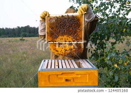 A beekeeper, a woman in a protective suit against bee stings, holds a frame with honey from a bee hive in her hands. Beekeeping, care of the hive A beekeeper, a woman in a protective suit against bee stings, holds a frame with honey from a bee hive in her hands. Beekeeping, care of the hive 124405168