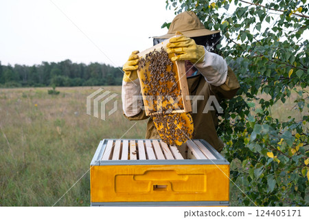 A beekeeper, a woman in a protective suit against bee stings, holds a frame with honey from a bee hive in her hands. Beekeeping, care of the hive A beekeeper, a woman in a protective suit against bee stings, holds a frame with honey from a bee hive in her hands. Beekeeping, care of the hive 124405171