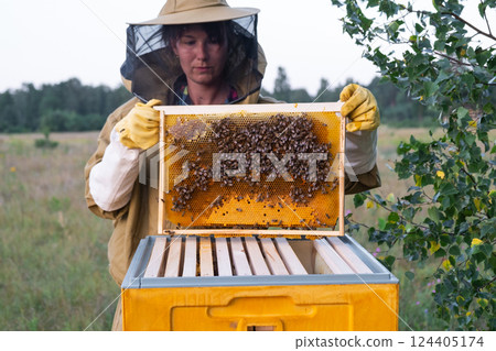 A beekeeper, a woman in a protective suit against bee stings, holds a frame with honey from a bee hive in her hands. Beekeeping, care of the hive A beekeeper, a woman in a protective suit against bee stings, holds a frame with honey from a bee hive in her hands. Beekeeping, care of the hive 124405174